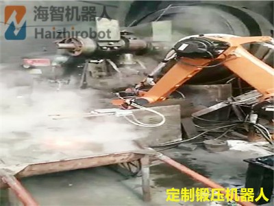 海智定製衝壓機器人係列